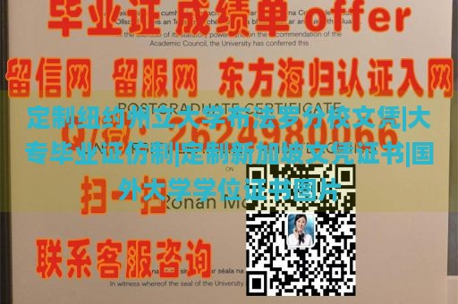 定制纽约州立大学布法罗分校文凭|大专毕业证仿制|定制新加坡文凭证书|国外大学学位证书图片